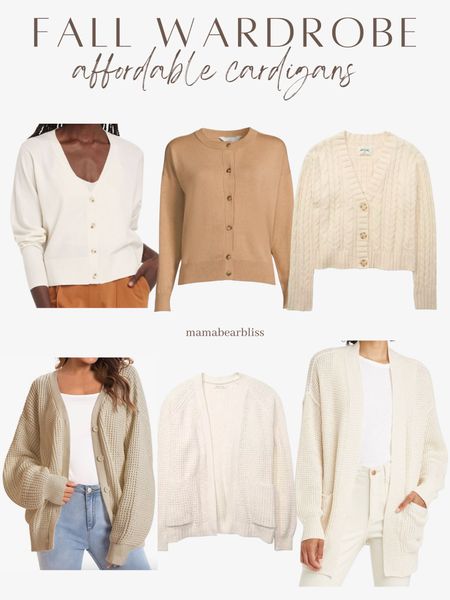 Fall sweaters, fall outfit, affordable sweaters

#LTKSeasonal #LTKunder50 #LTKstyletip