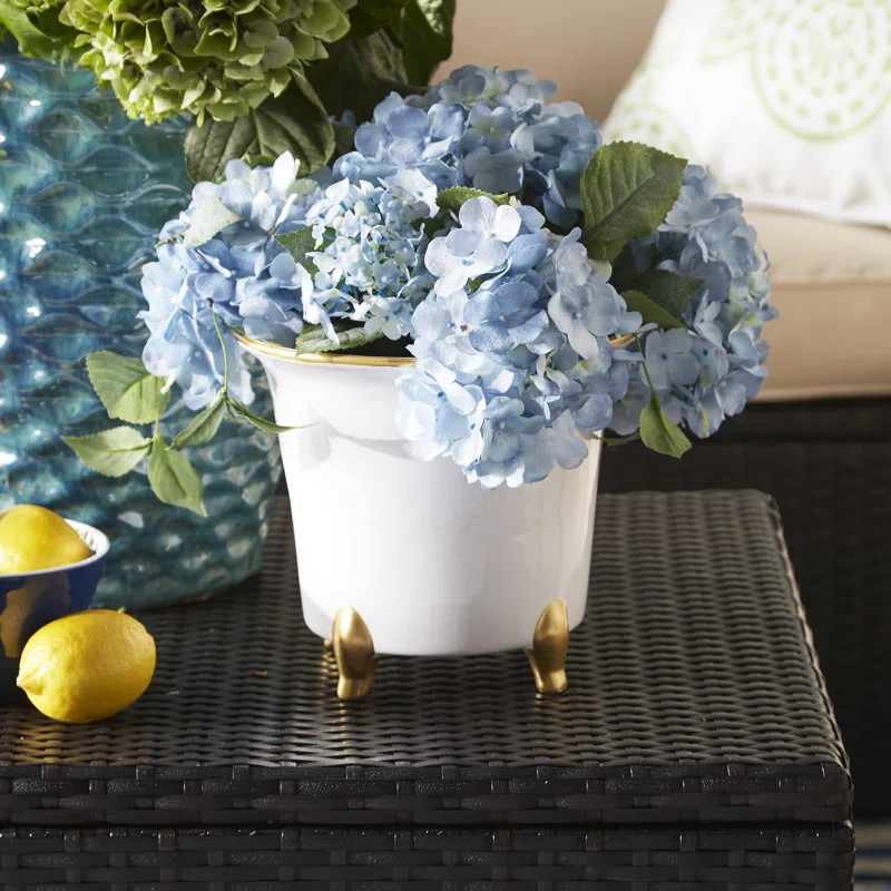 Jaipur Ceramic Pot Planter | Wayfair North America