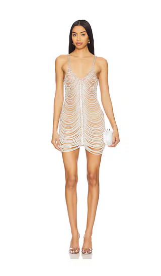 Hollis Dress in Silver & Black | Revolve Clothing (Global)