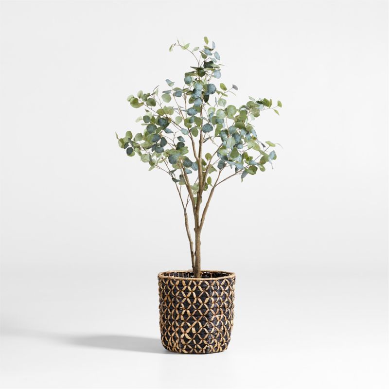 Faux Silver Dollar Eucalyptus Tree 6' + Reviews | Crate & Barrel | Crate & Barrel