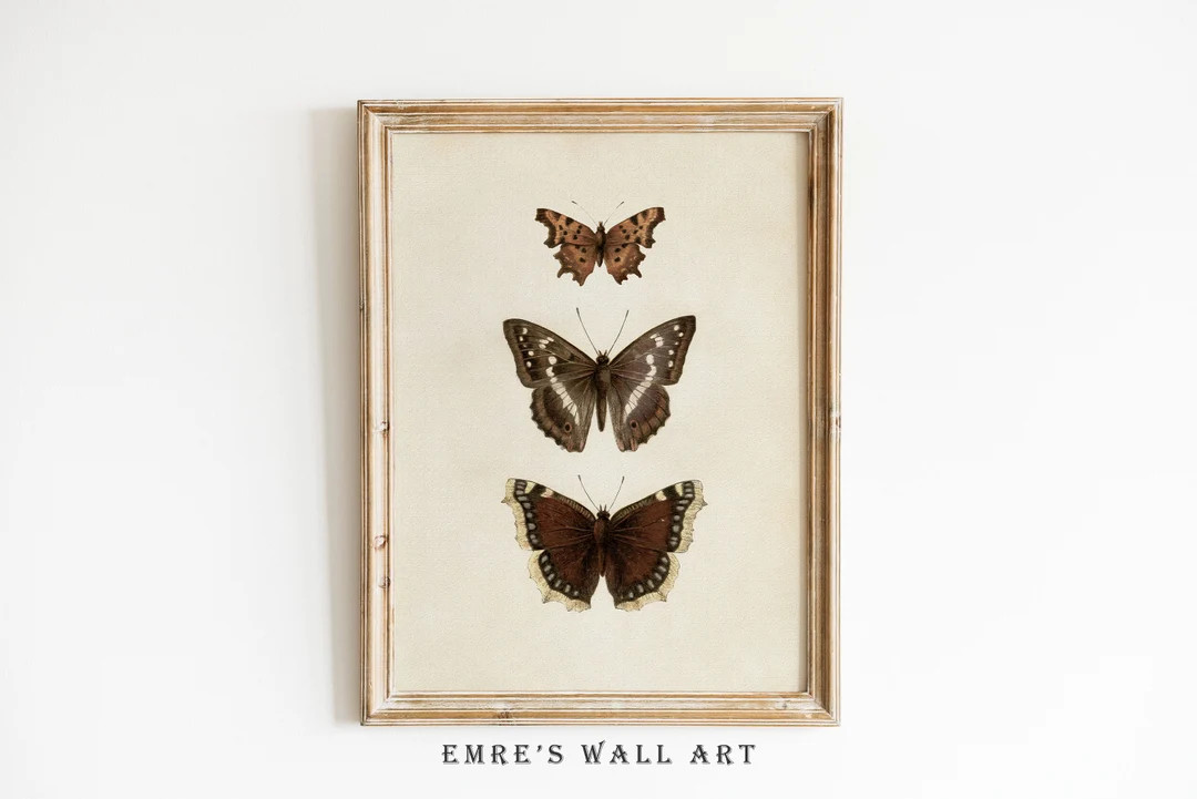 Butterfly Print, Butterfly Wall Art, Butterfly Sketch Art, Vintage Butterfly Print, Neutral Farmh... | Etsy (US)
