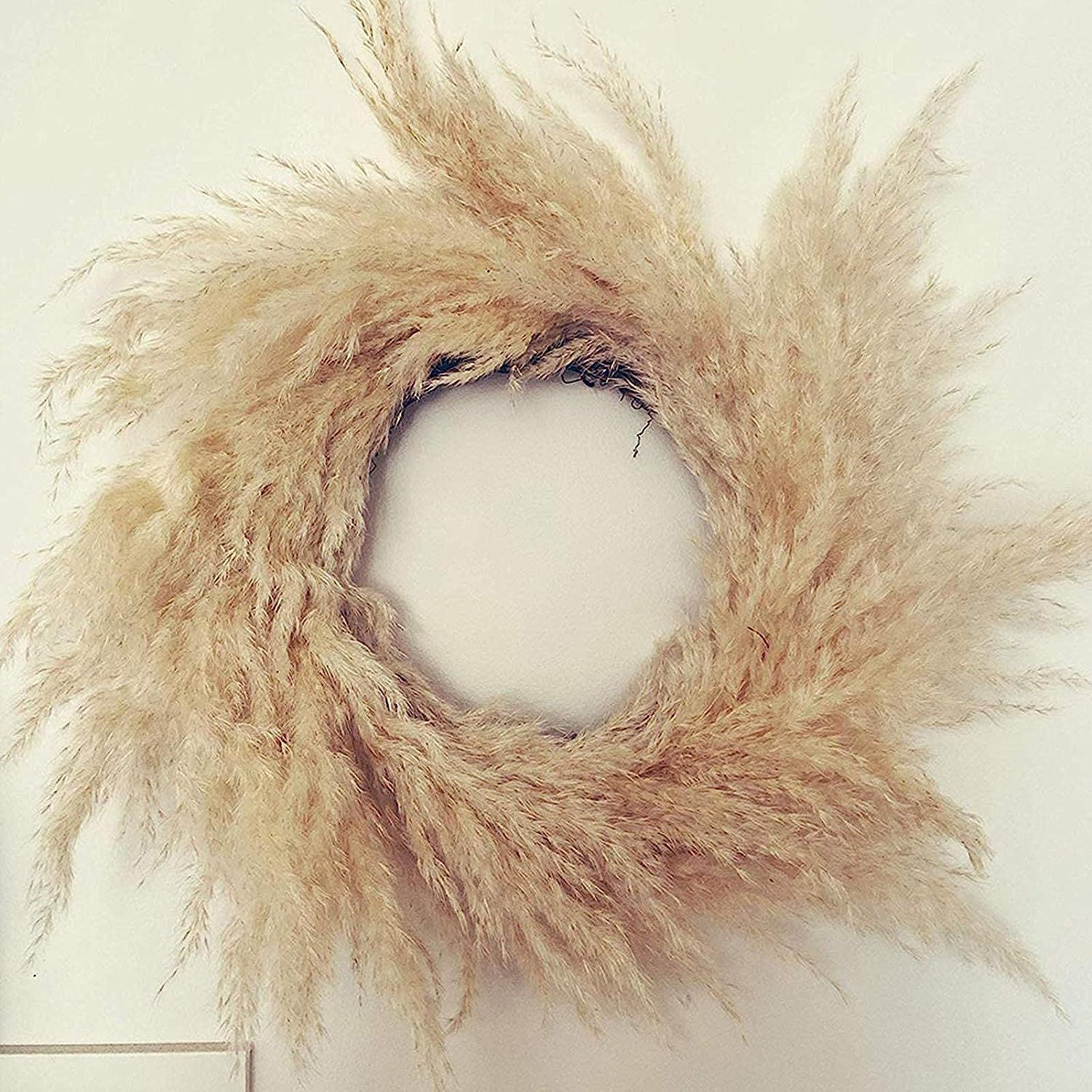 Bule Newest Natural Reed Wreath, White Dried Flower Pampas Wreath, Bohemian Style Wall & Door Han... | Amazon (US)