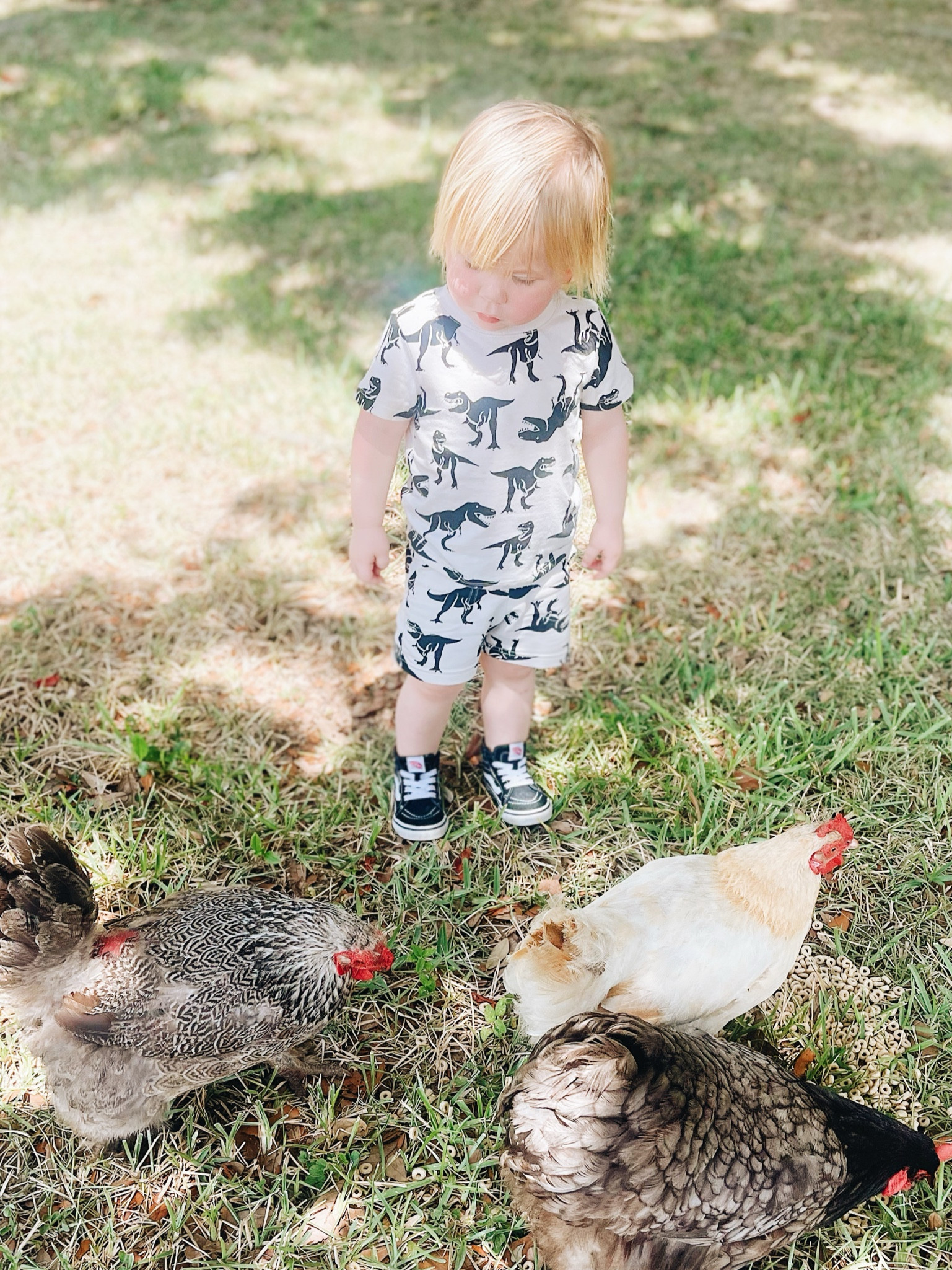 Dino set 

#LTKBaby #LTKFindsUnder50 #LTKKids