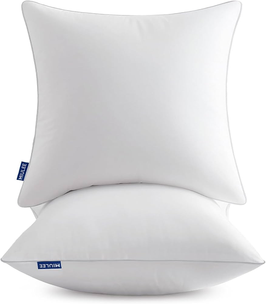 MIULEE 22x22 Inch Pillow Inserts Pack of 2 with Textured Woven Fabric Cover | Amazon (US)