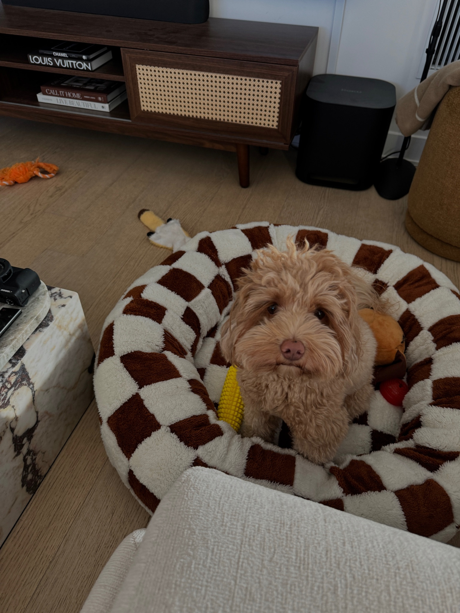 Dog bed, Amazon dog bed 

#LTKSaleAlert #LTKHome #LTKFindsUnder50