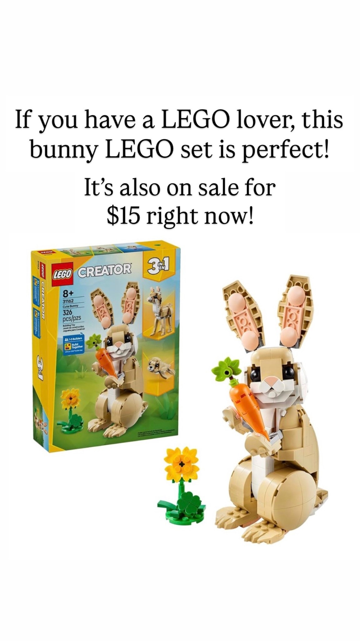 LEGO SET for Easter 🐣 

#LTKKids #LTKSeasonal