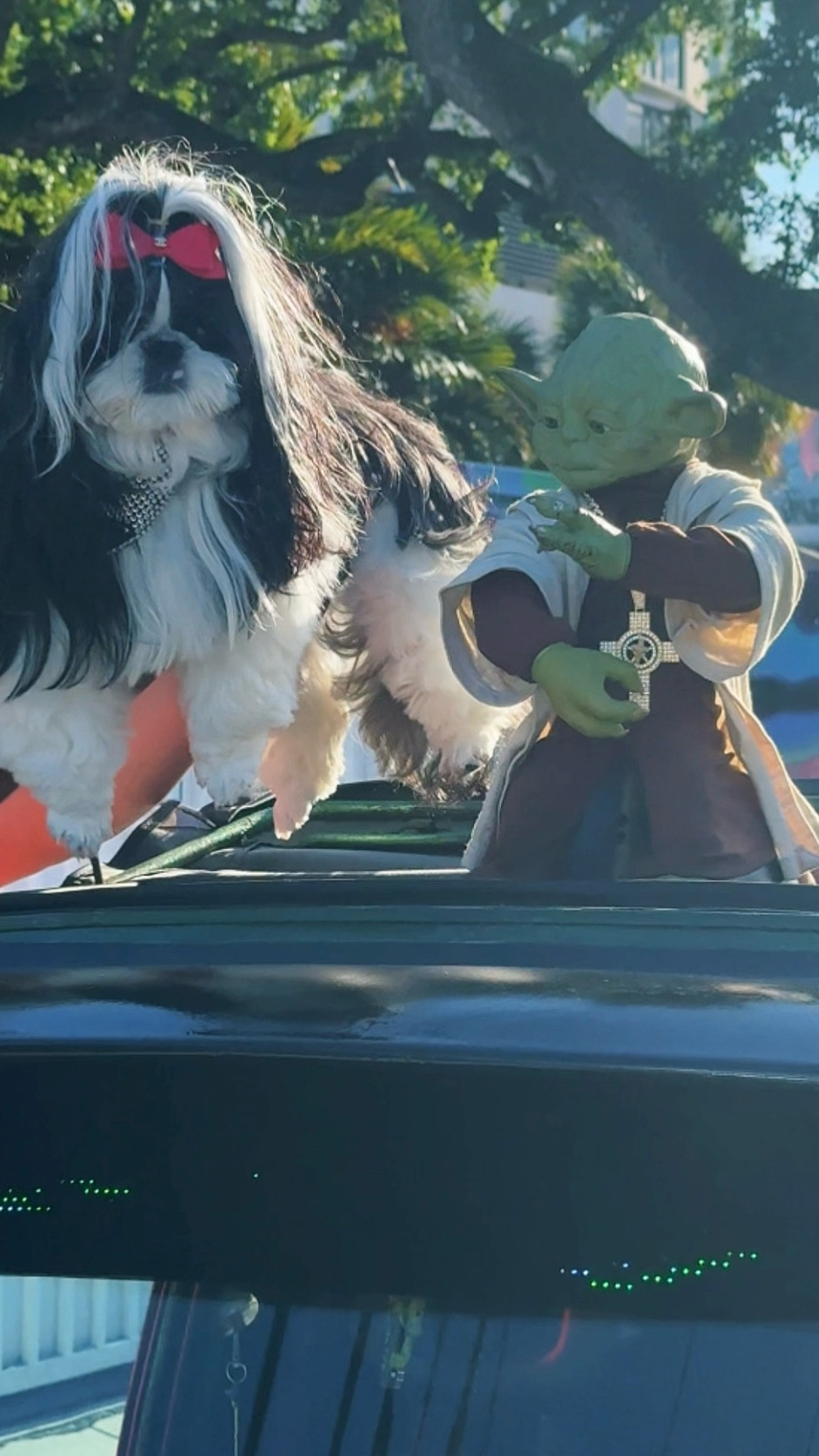 Wynwood Miami Guide 🎨✨ Spent the day exploring Wynwood Walls, discovering bold murals, colorful streets, and the Museum of Graffiti in one of Miami’s most creative neighborhoods. Nirvana even had her name placed on the wall — Nirvana Rocks — and made an unexpected new friend… Yoda 💚

For this edit, Nirvana is linking artist-inspired luxury handbags, including limited-edition collaborations from Louis Vuitton that match the vibrant Wynwood energy, plus statement accessories worthy of an art district stroll.

Perfect for Miami trips, street art lovers, collector pieces, and colorful luxury style finds.

Nirvana the Shih Tzu 💋 Nirvana Approved

#LTKgrwm #LTKdayinmylife #LTKTravel