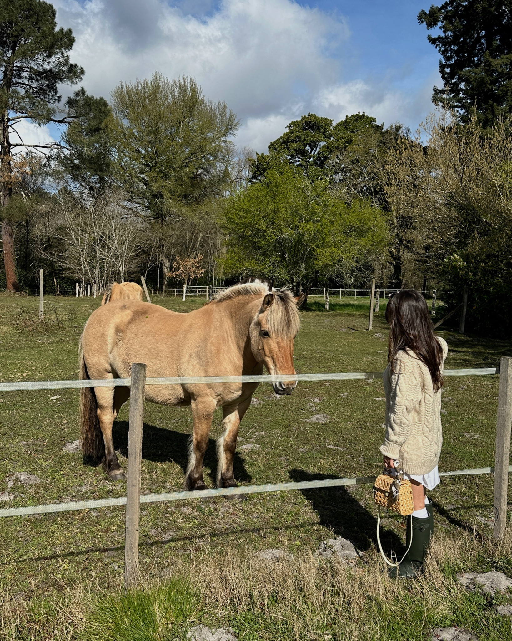 Pondering how far I would go to be able to afford a chateau where my horses and pups could roam… But on a serious note, these Hunter boots were the one for this trip so I could stomp around the fields with no worries. Adding the scarf to the handle of my bag felt super cute and tied in the sage green of the boots for a little detail, while exploring the grounds of this gorgeous chateau hotel in Bordeaux. 

#LTKTravel #LTKPetite
