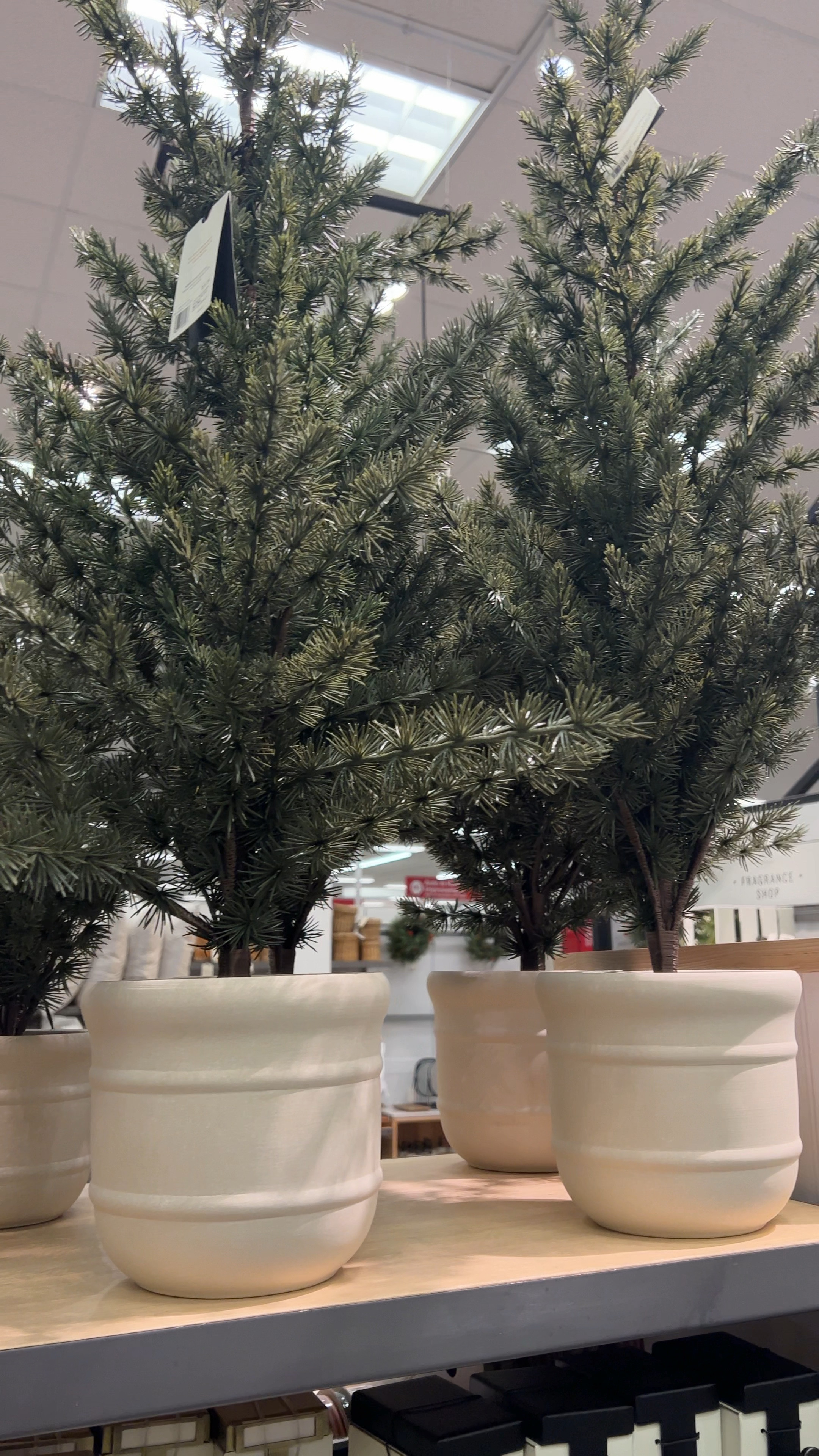 Faux Spruce Christmas tree, Target Christmas decor, Magnolia Christmas trees 

#LTKhome #LTKfindsunder50 #LTKSeasonal