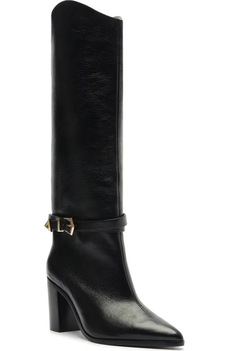 Schutz Maryana Pointed Toe Knee High Boot (Women) | Nordstrom | Nordstrom