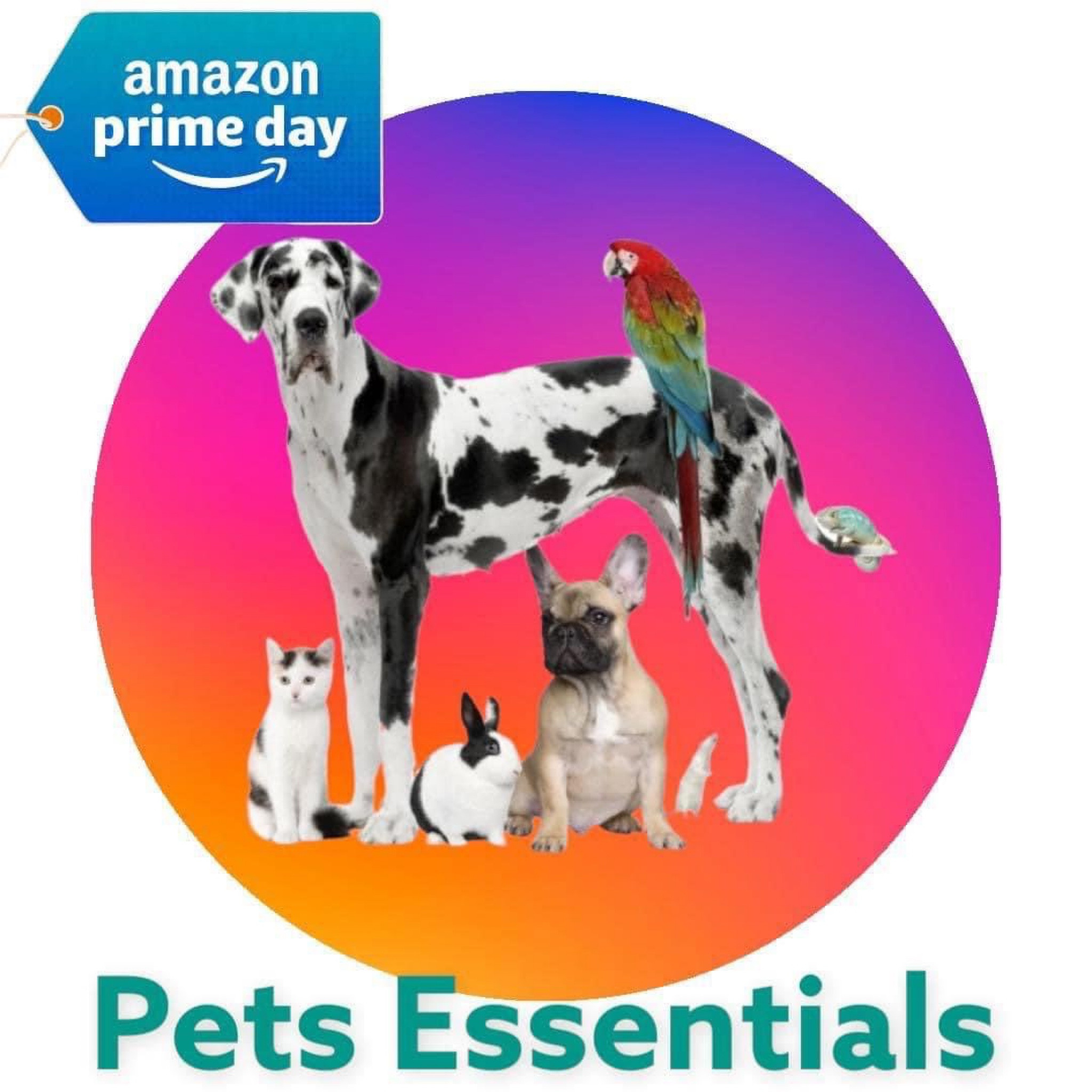 KIPRITII Chew Toys for Puppy … curated on LTK