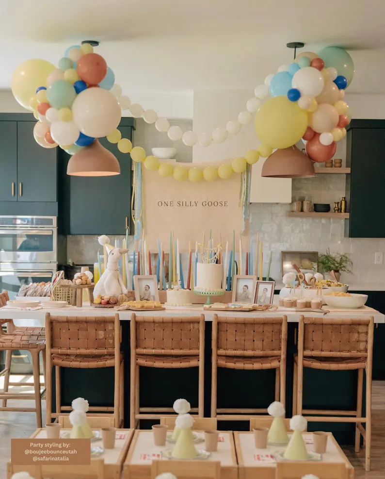 One Silly Goose Fabric Banner, Silly Goose Birthday Sign, First Birthday Canvas Banner, Silly Goo... | Etsy (US)