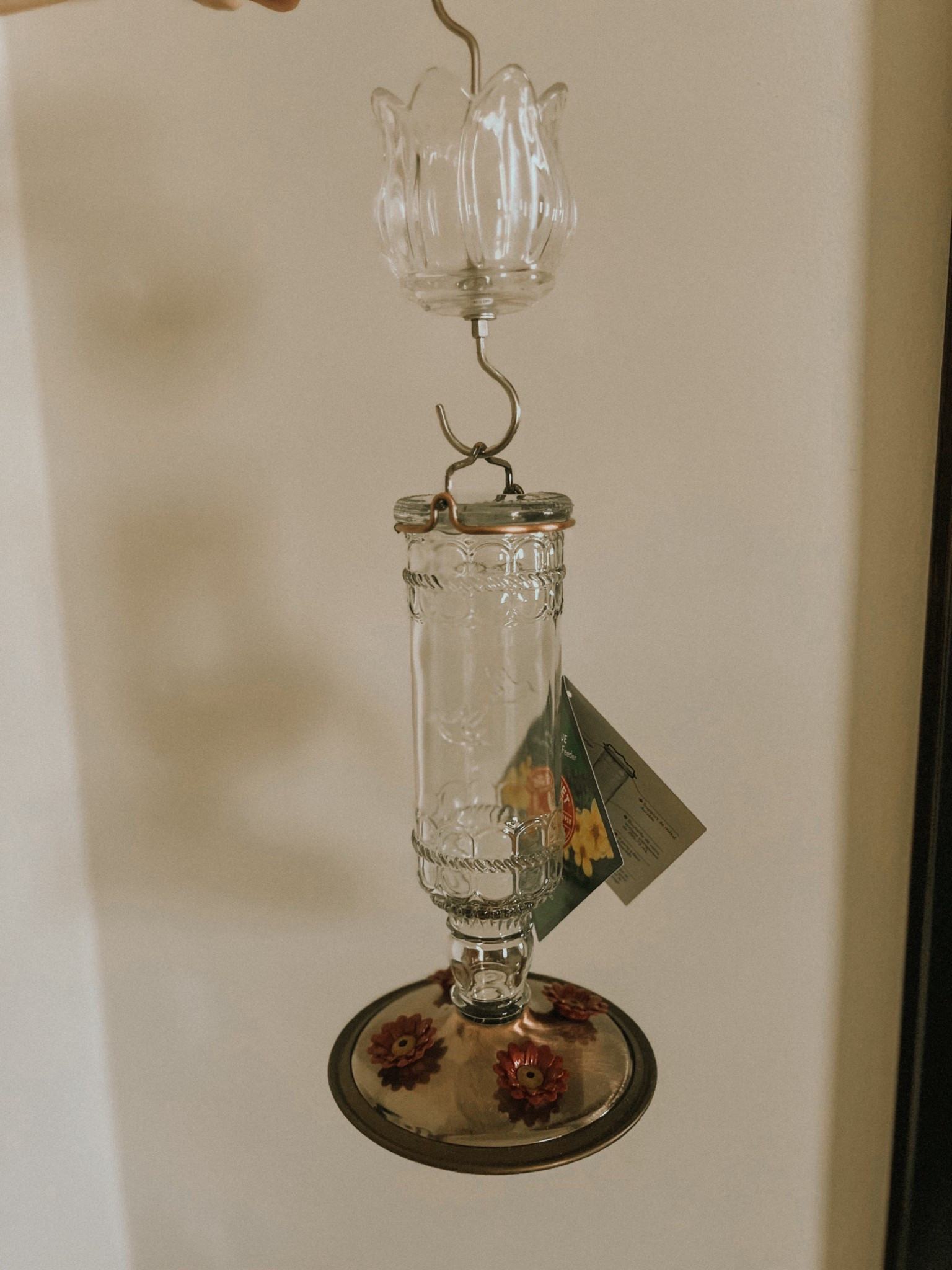 Love this Glass hummingbird feeder that looks like a bottle! Comes in a pretty green too. 

The ant moat on the top helps keeps bugs out of the feeder and is glass as well. 

#LTKHome #LTKSeasonal #LTKSaleAlert