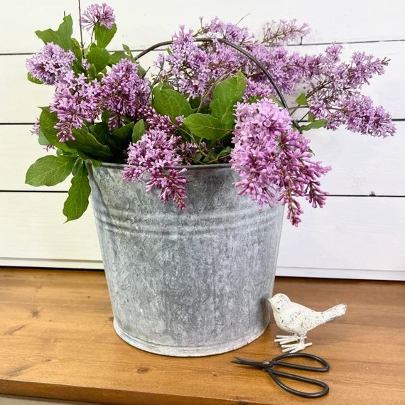 Vintage Pail - Galvanized | Etsy (US)