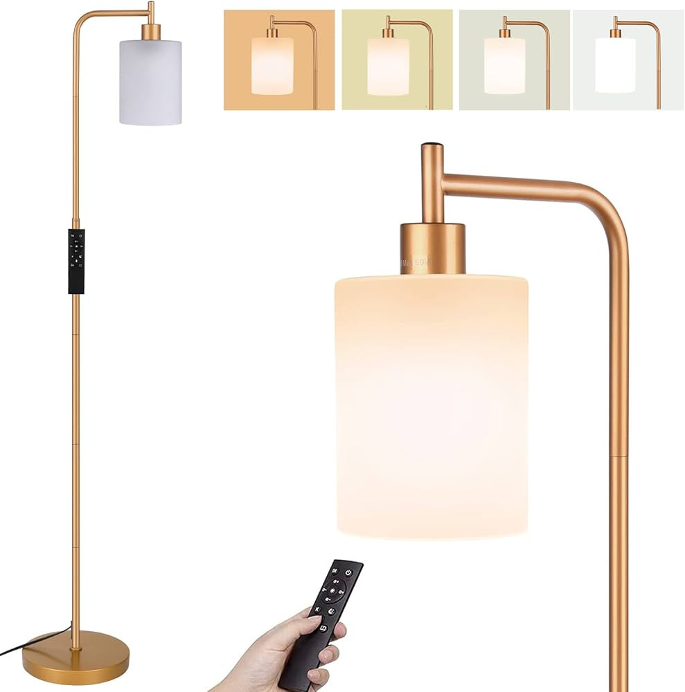 Industrial Floor Lamp,4 Color Tempratures Farmhouse Lamp with Remote & Foot Control, Rustic Stand... | Amazon (US)