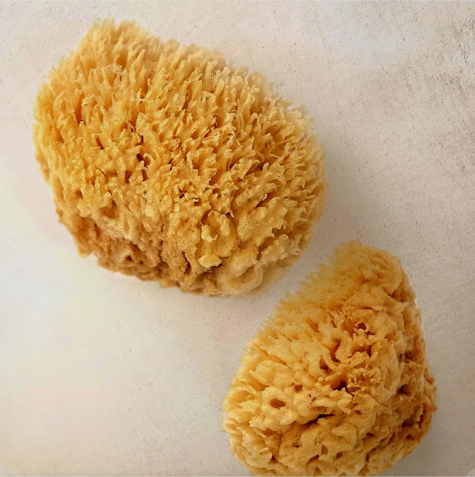 Natural Sea Sponge | Gentle Exfoliator for Sensitive Skin | Luxury Bath | Plastic-free Baby & Bod... | Etsy (US)