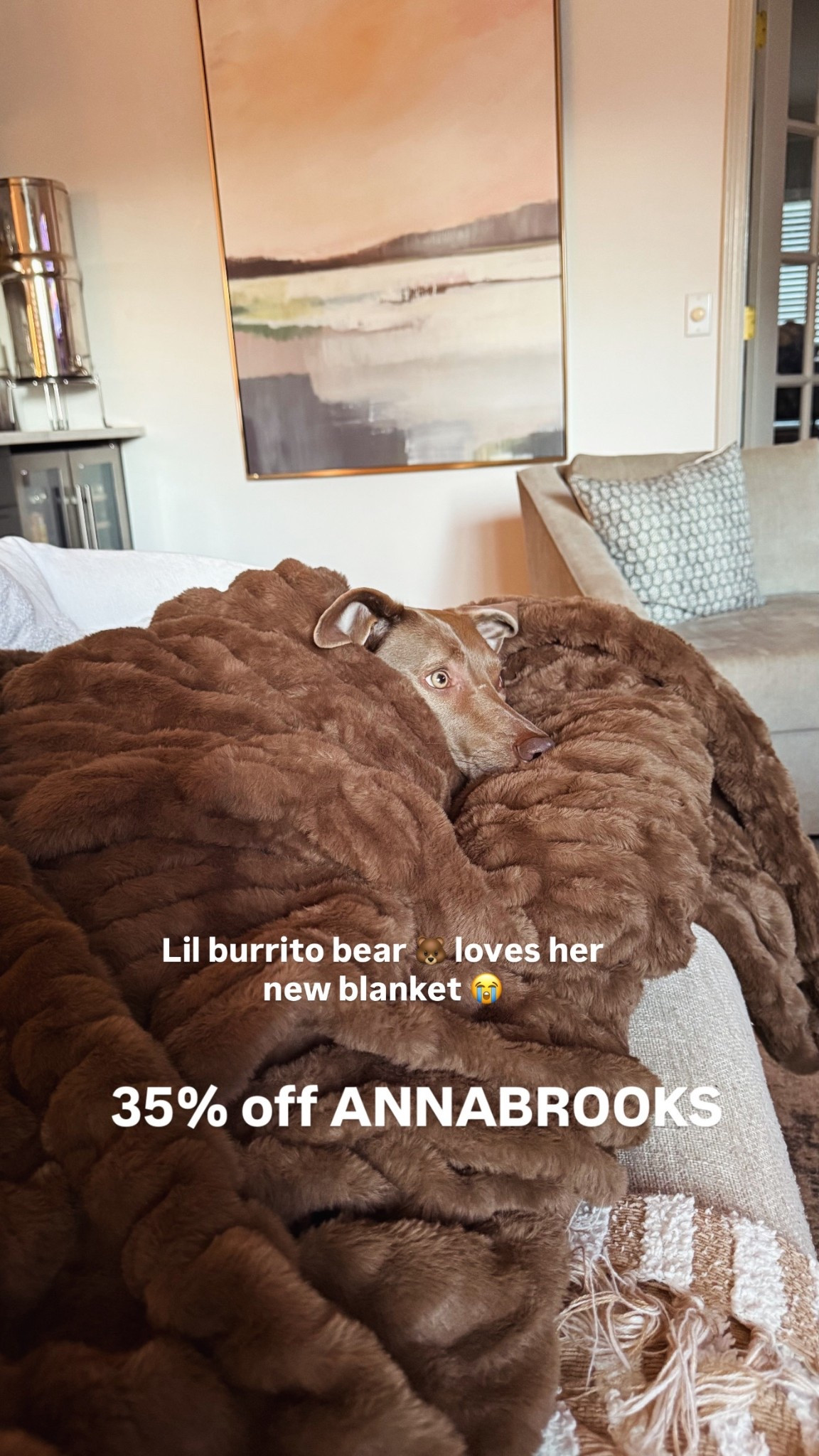 Lola blankets deep chocolate brown mocha XL size and the softness is un matched!! Great gift this holiday season! Gift idea

Pets and dogs love this blanket too!

35% off with ANNABROOKS




#LTKHome #LTKSeasonal #LTKPets