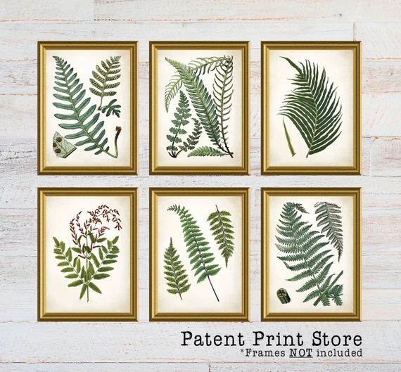 Vintage Ferns Prints. Botanical Print. Art Print. Fern Prints. Antique Botanical Prints. Wall Art... | Etsy (US)