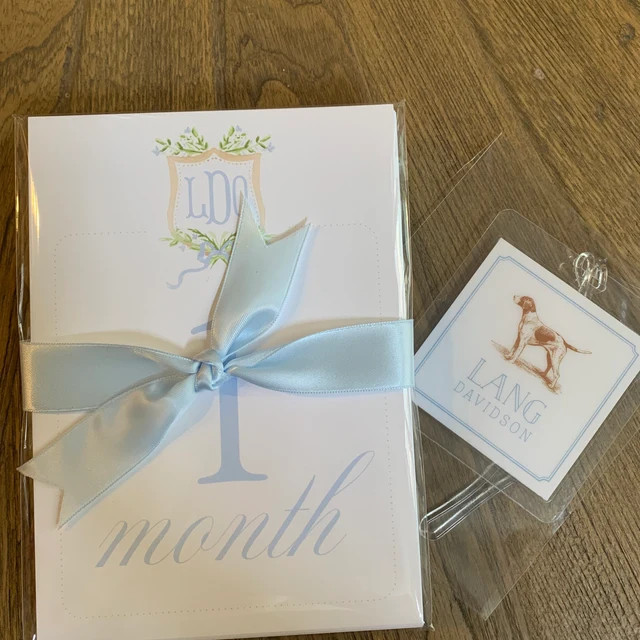 Welcome Baby Gift Set // milestone cards // diaper bag tag // notecards // envelopes // boy // cr... | Etsy (US)