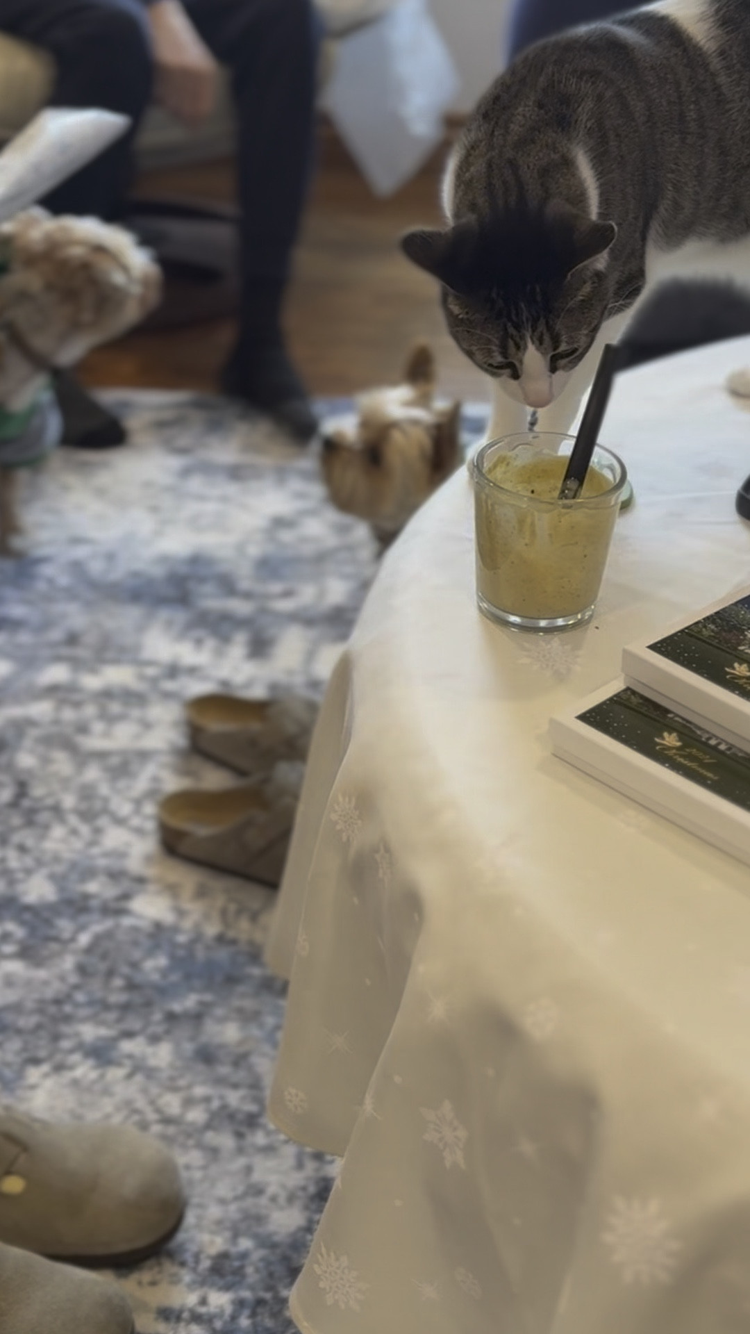 Our pets had the BEST Christmas EVER! Especially Cat Coraline! She’s our very spoiled grandkitty. 
Bleu gets overwhelmed so he crashed out 5 minutes in. Sabby took on the role of the mom who made it all happen  

#LTKFamily #LTKHoliday #LTKWatchNow