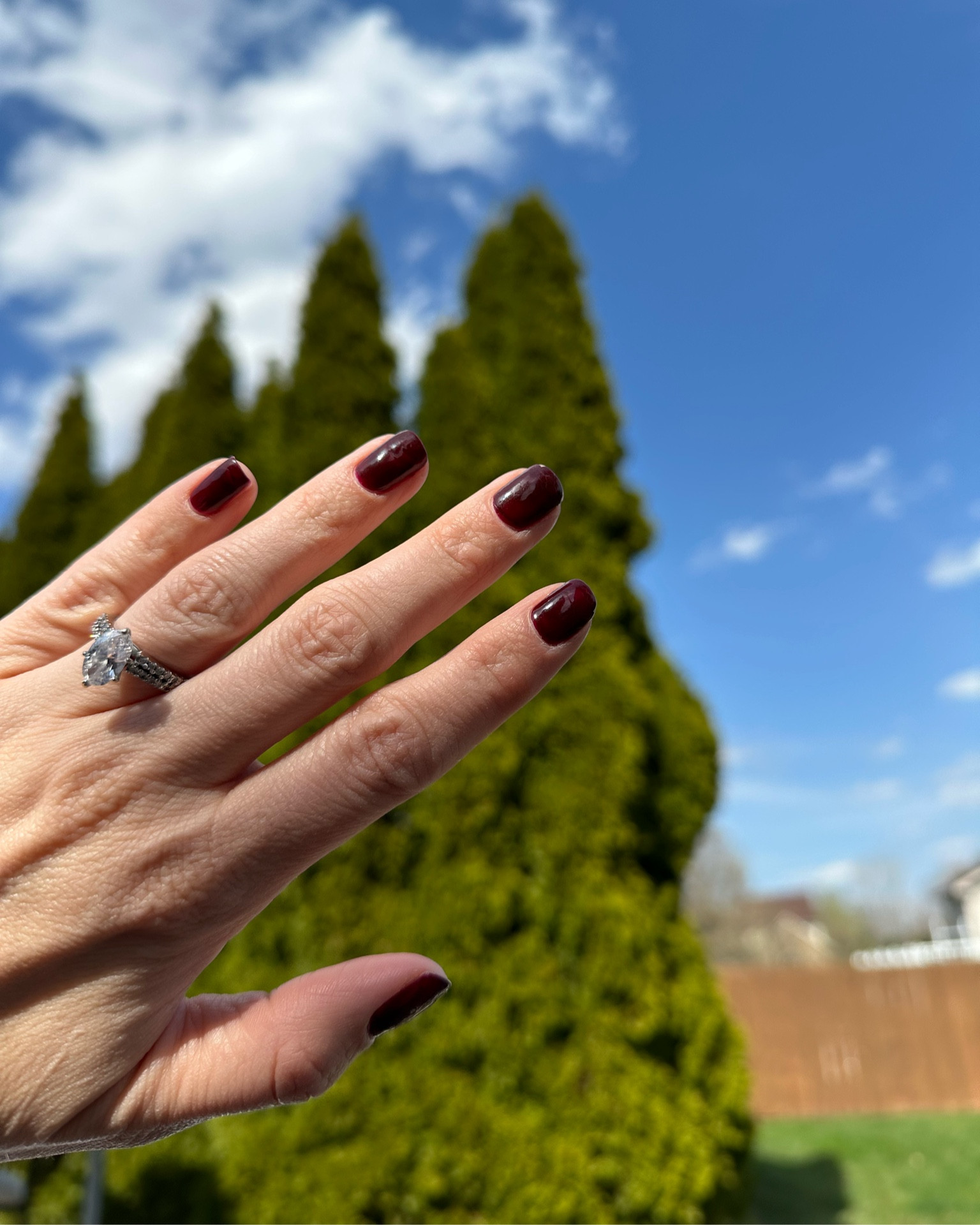 Went to the dark side 
Are you Dark nails or light nails?
DND | strawberry wine
Super pigmented comes with lacquer and gel 🍇
Daisy DND has become my go to polish brand from Amazon! Great quality and super pigmented colors 
#dnd
#nails #nailart #nailsofinstagram #manicure #nailsoftheday #gelnails #beauty #nailsart #nail #naildesign #nailsnailsnails #nailstagram #naildesigns #instanails #nailstyle #nailartist #nailpolish #nailinspo #inspire #gelpolish #nailswag #longnails

#LTKbeauty