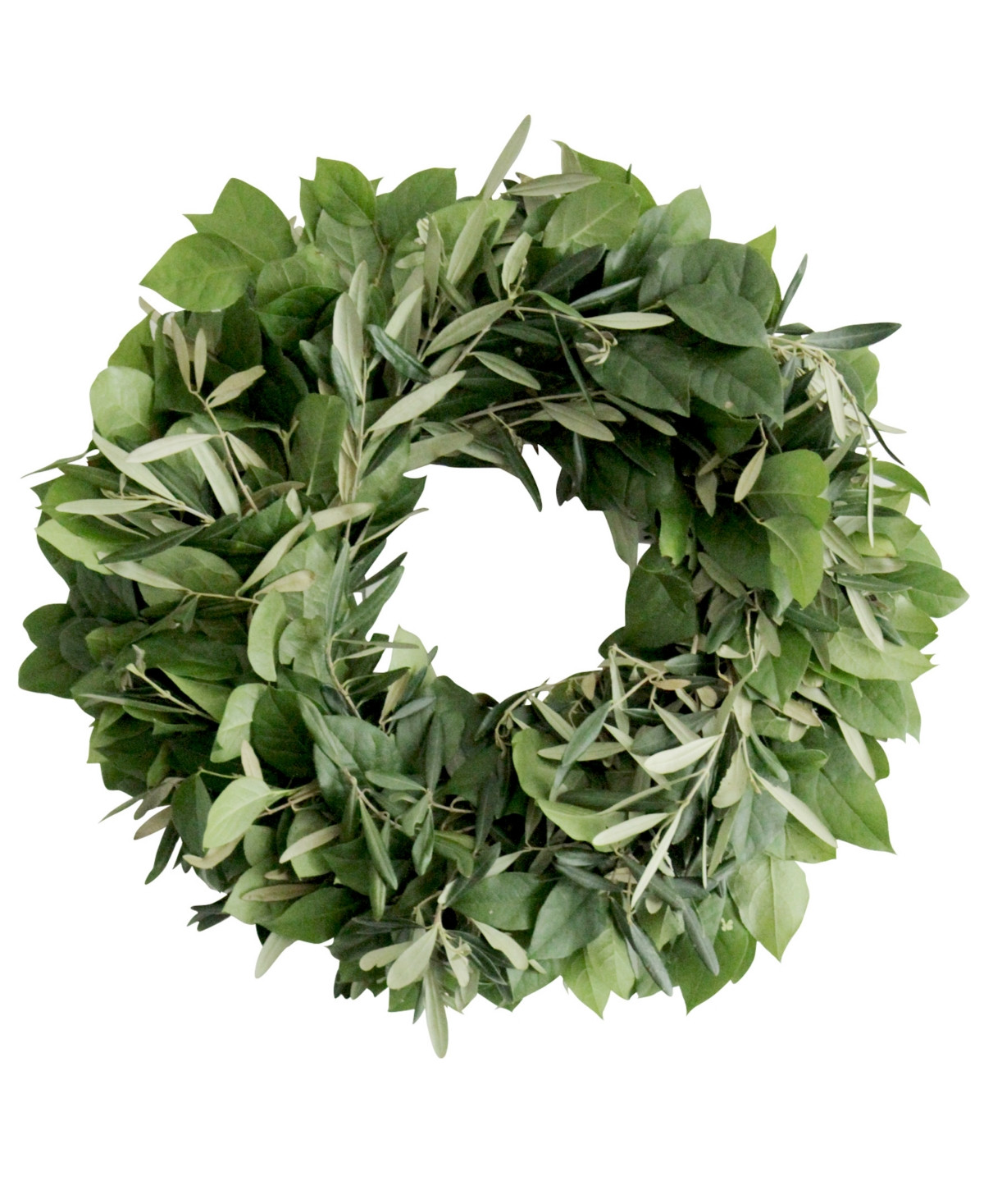 Magnolia Supply Co Fresh Olive and Lemon Leaf Wreath, 20 | Macy's