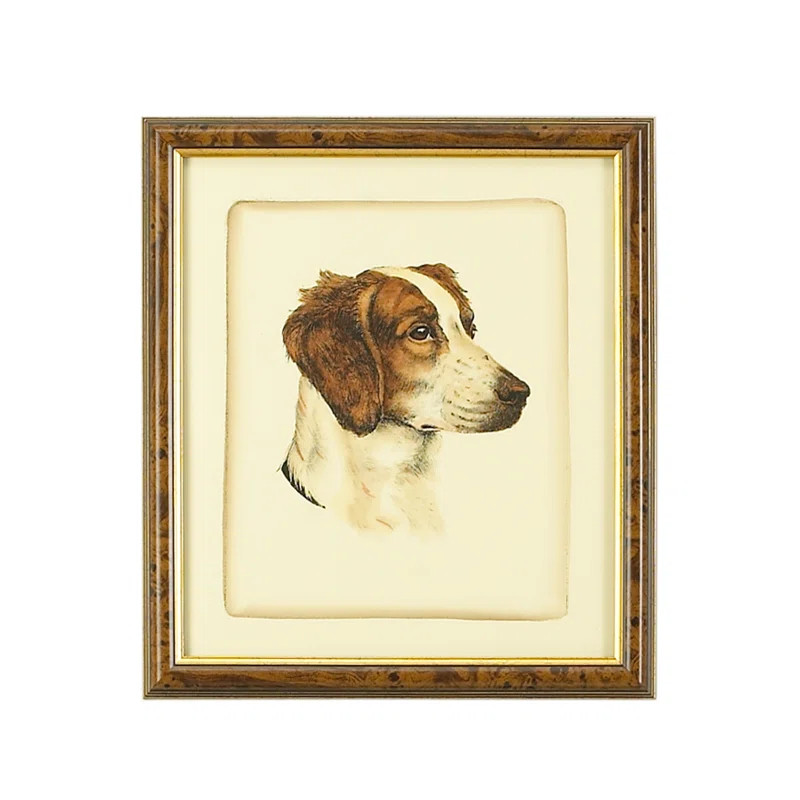 " Danchin Brittany Spaniel " | Wayfair North America