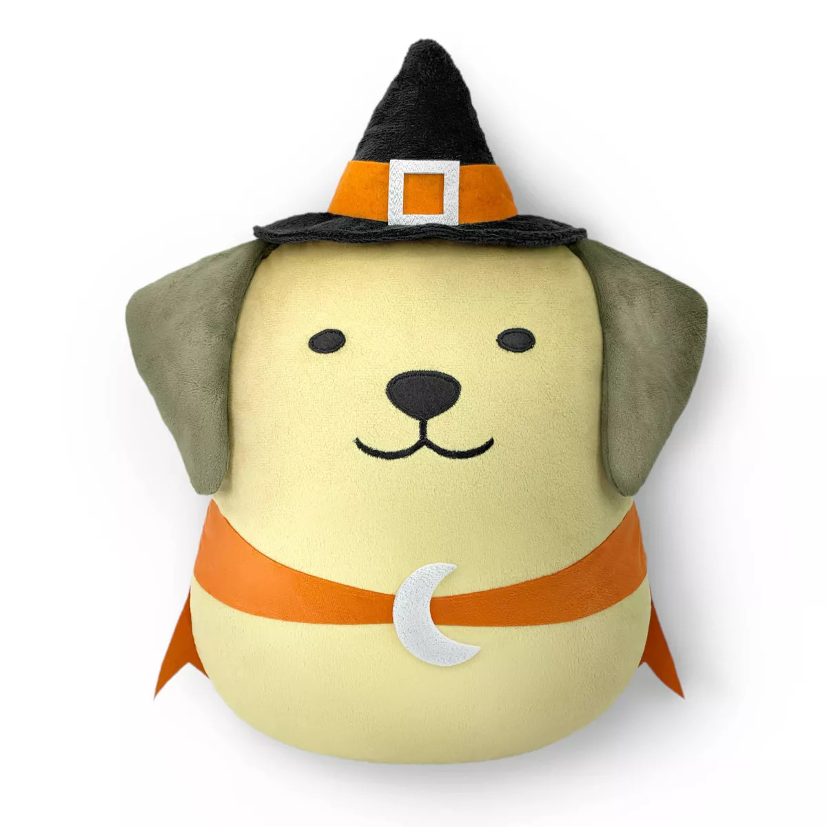16"x10" Halloween Witch Dog Novelty Plush Pillow - Bullseye's Playground™ | Target