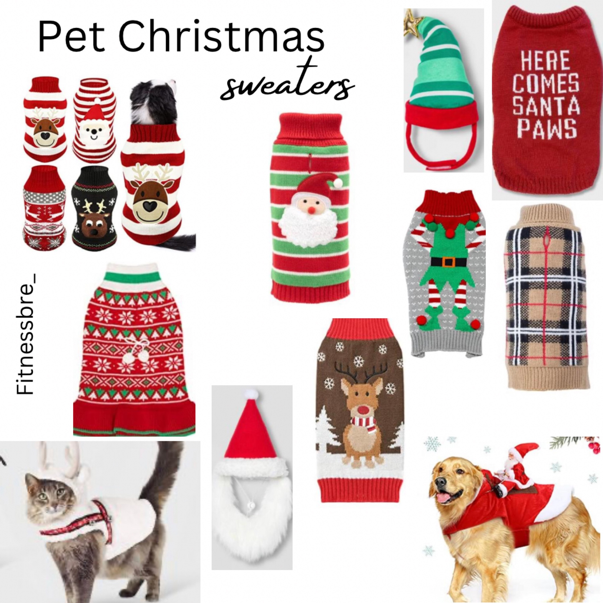 Pet Christmas sweater 🎅🏼

#LTKHoliday #LTKSeasonal