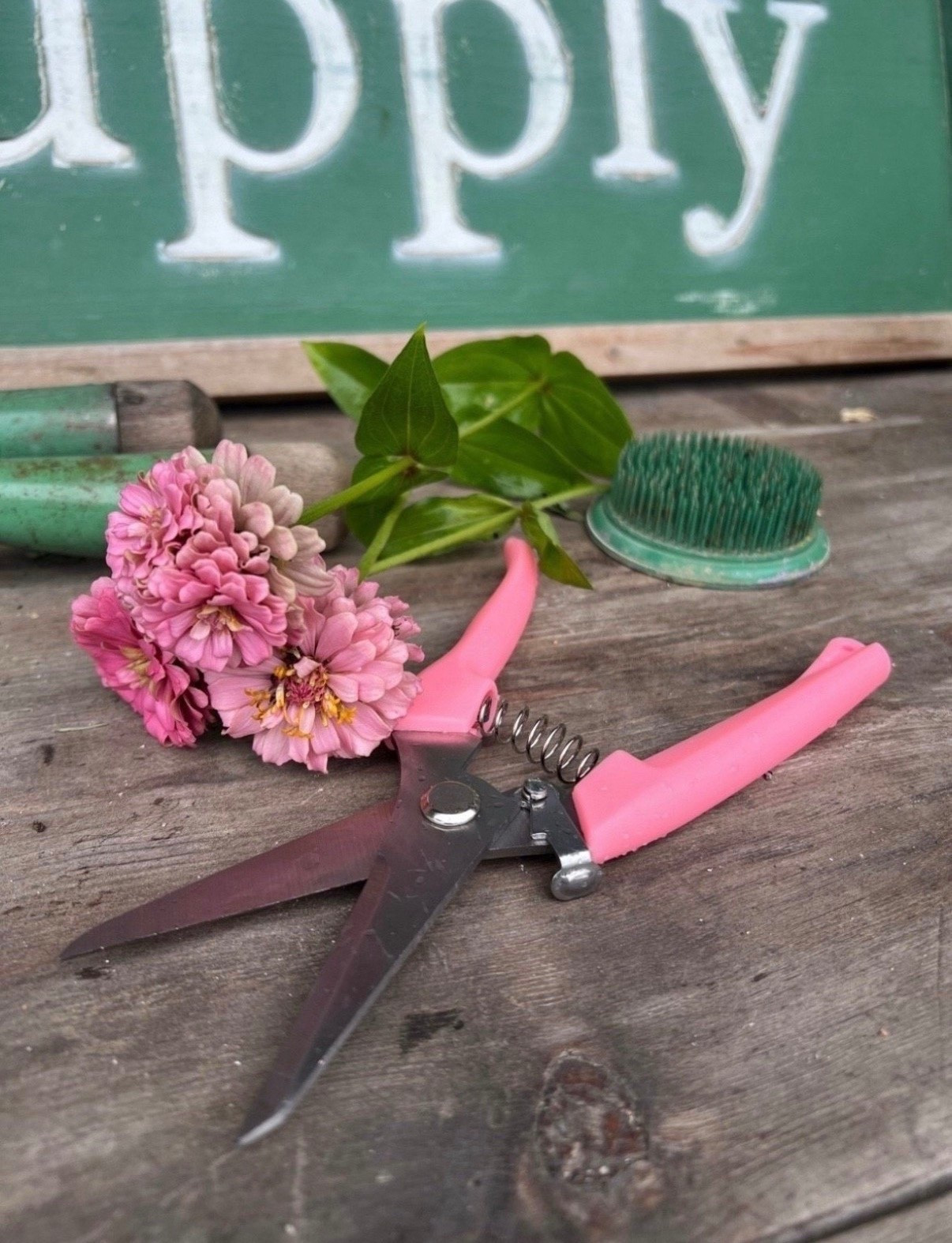 Had to share these pink garden shears—they’re just too cute! 🌸✂️ They come in a set of two and add the sweetest pop of color to my garden days. Functional and fun, which is my favorite combo!

#LTKSeasonal #LTKSpringSale #LTKFindsUnder50