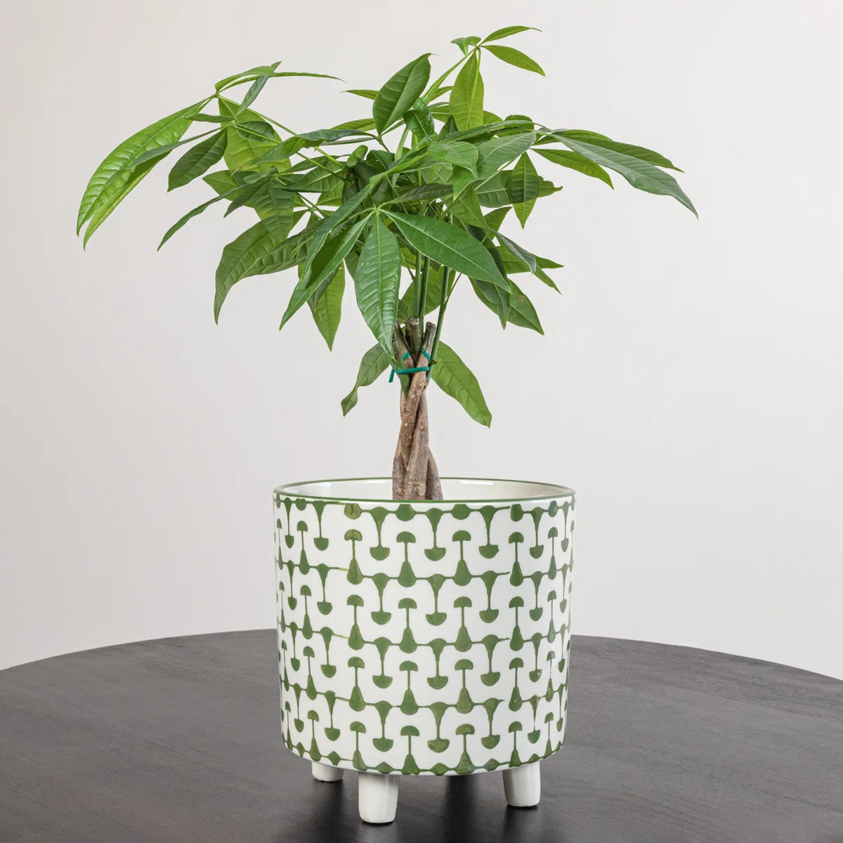Footed Stoneware Planter with Abstract Print | Wayfair North America
