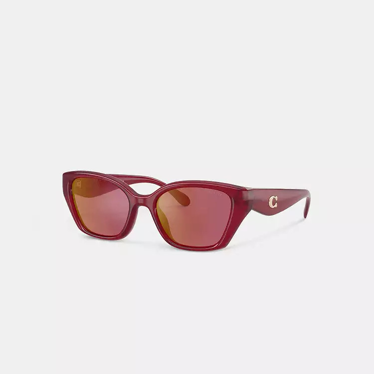 C Hardware Square Cat Eye Sunglasses | Coach (US)