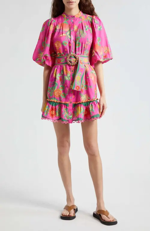 FARM Rio Delicate Fruit Garden Tie Belt Mini Shirtdress in Pink at Nordstrom, Size Small | Nordstrom