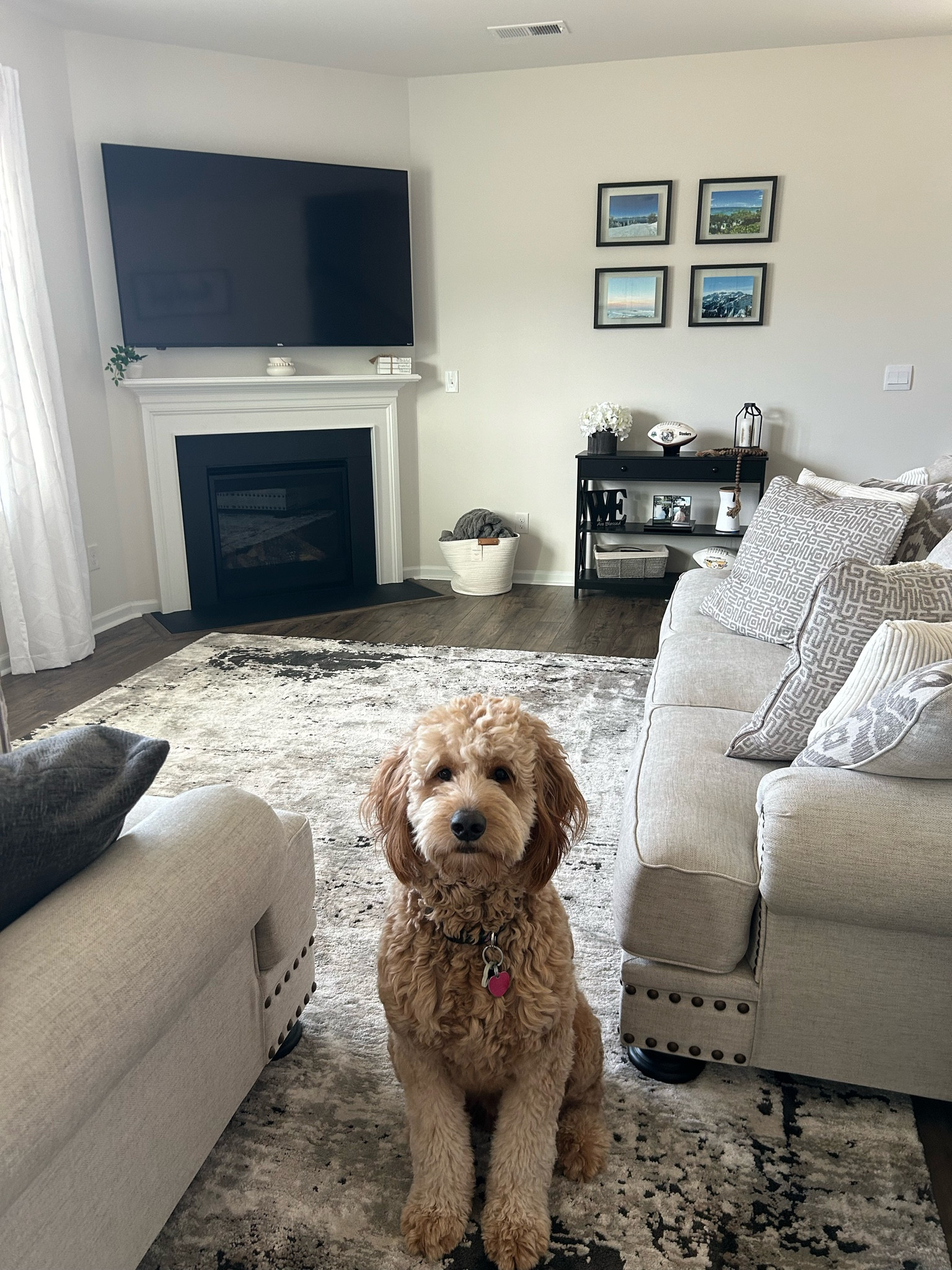 MTV, welcome to Blitz’s Crib! 

Loving how our living room is coming together! 


#LTKsalealert #LTKhome #LTKfindsunder50