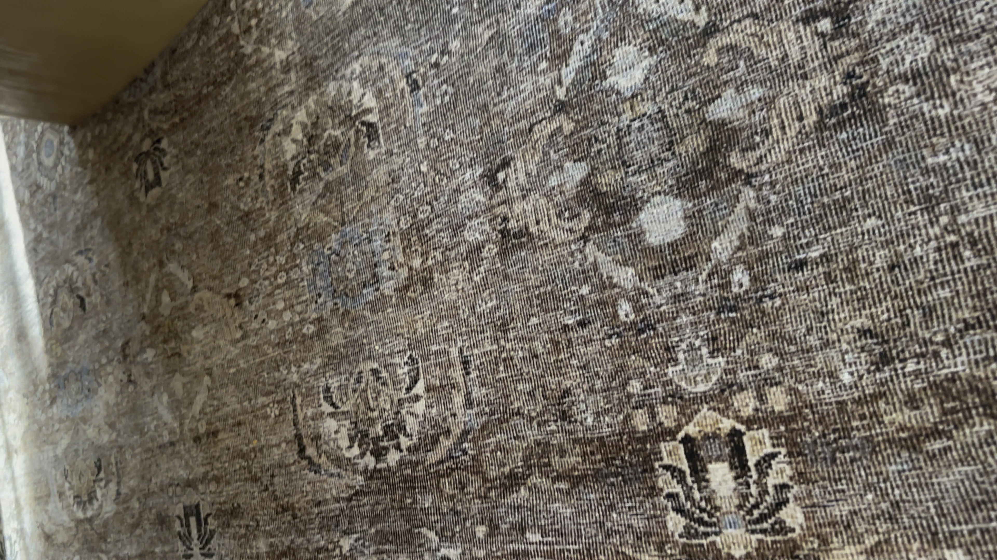 Loloi rugs antique/moss ! 
Browns, creams, specs of blue!

Area rug, brown rugs, rugs, neutral rugs, layering rugs 

#LTKVideo #LTKHoliday #LTKhome