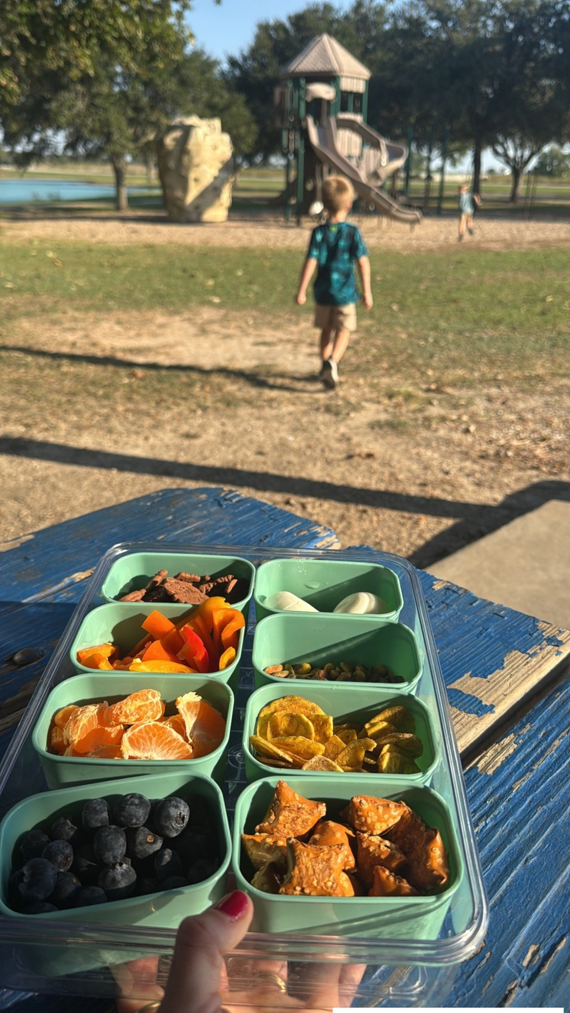 All the best
Snack containers for lunch or just going to the park 

#LTKFindsUnder50 #LTKActive #LTKKids