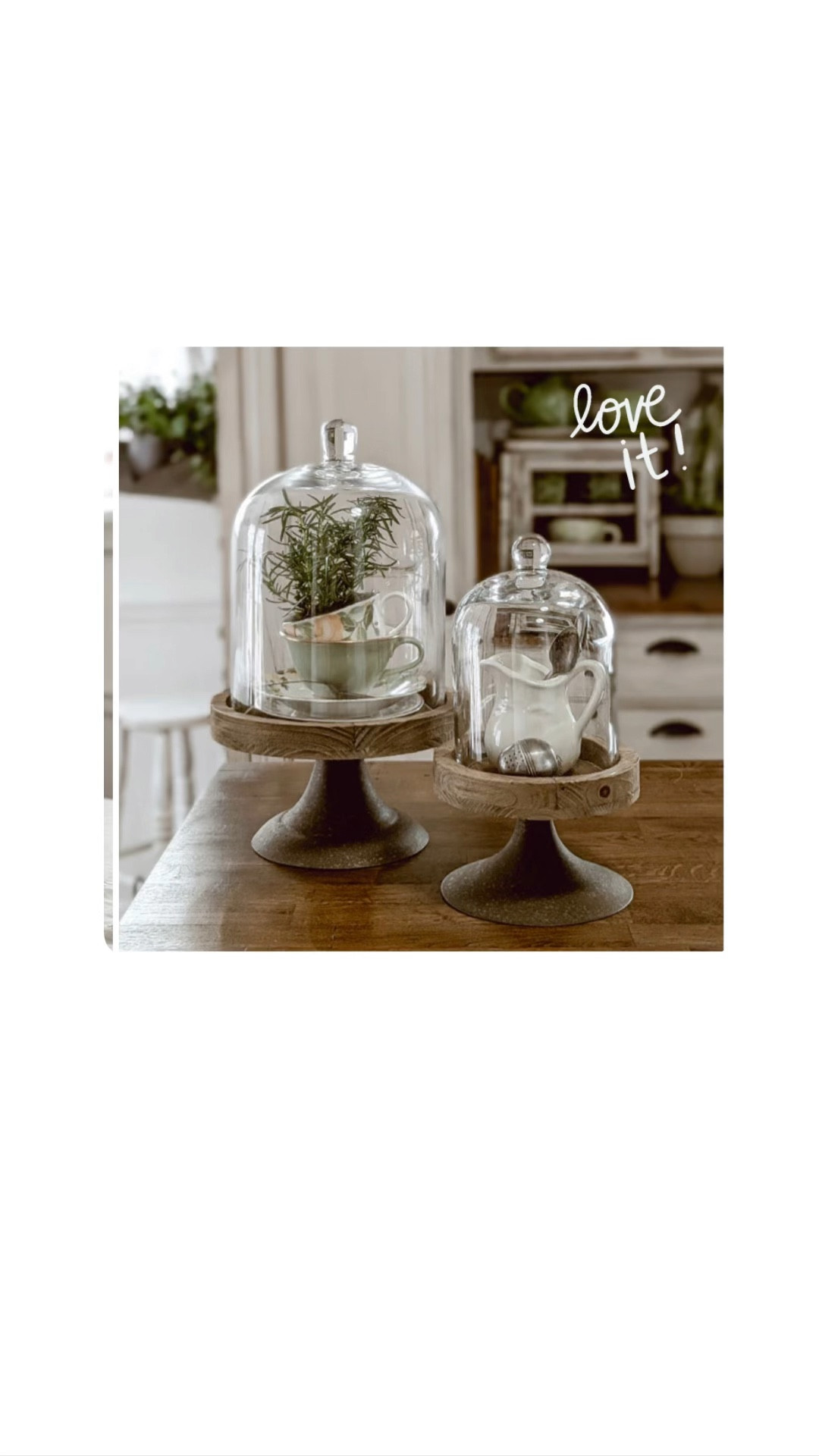 These gorgeous cloches at from decor steals!

#LTKHome #LTKSeasonal #LTKSaleAlert