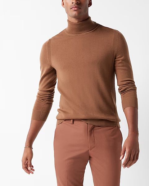 Solid Merino Wool Turtleneck Sweater | Express