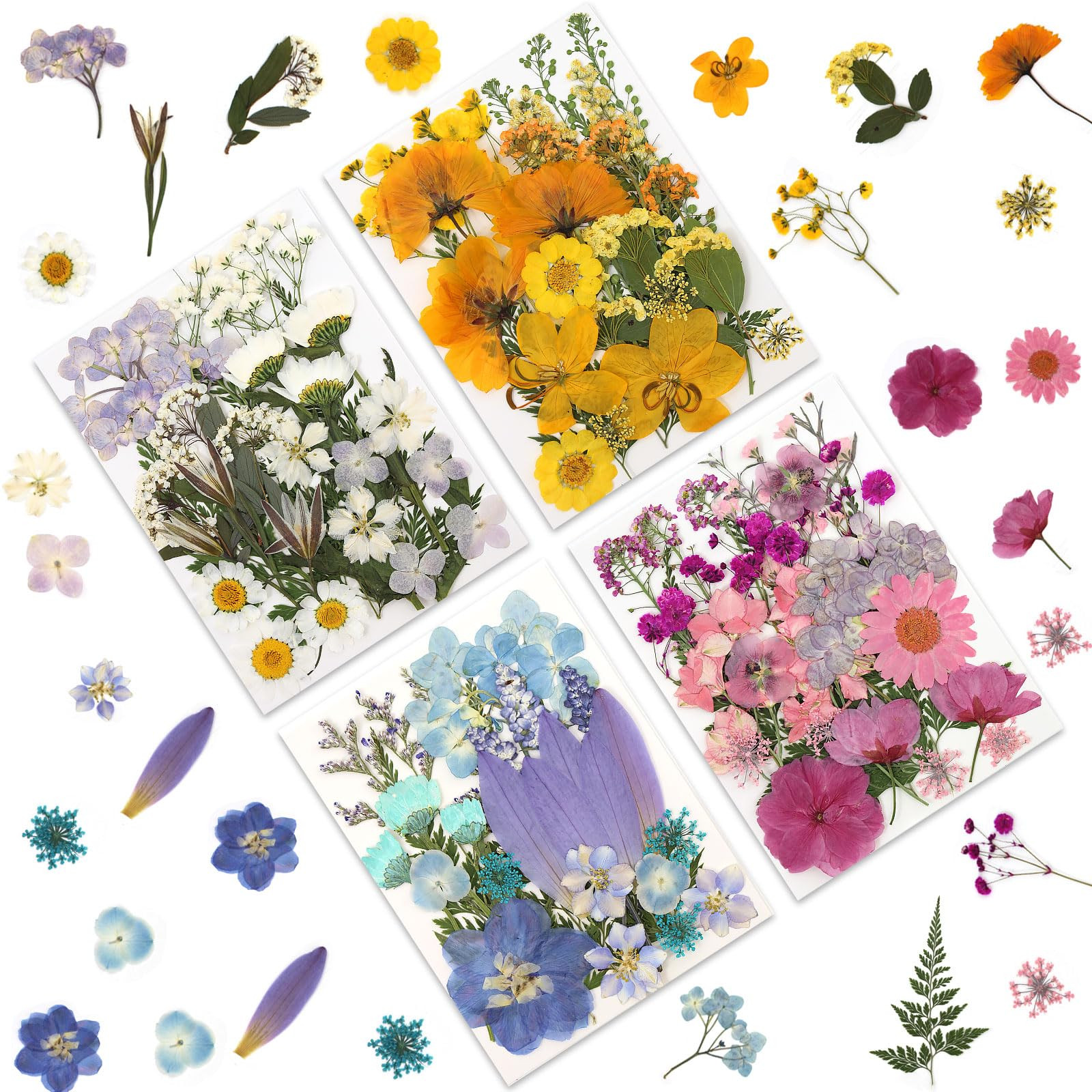110P 4 Color Long Stem Dried Flowers for Crafts, Real Natural Pressed Flowers in Mixed Tones for ... | Amazon (US)
