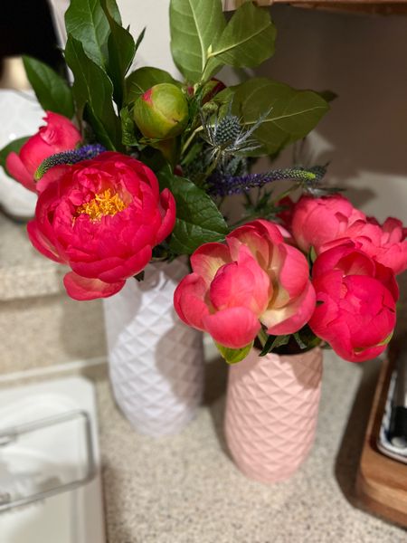 The best flower vase to exist

Amazon find, peonies, peony, floral arrangement vase

#LTKhome #LTKunder50 #LTKGiftGuide