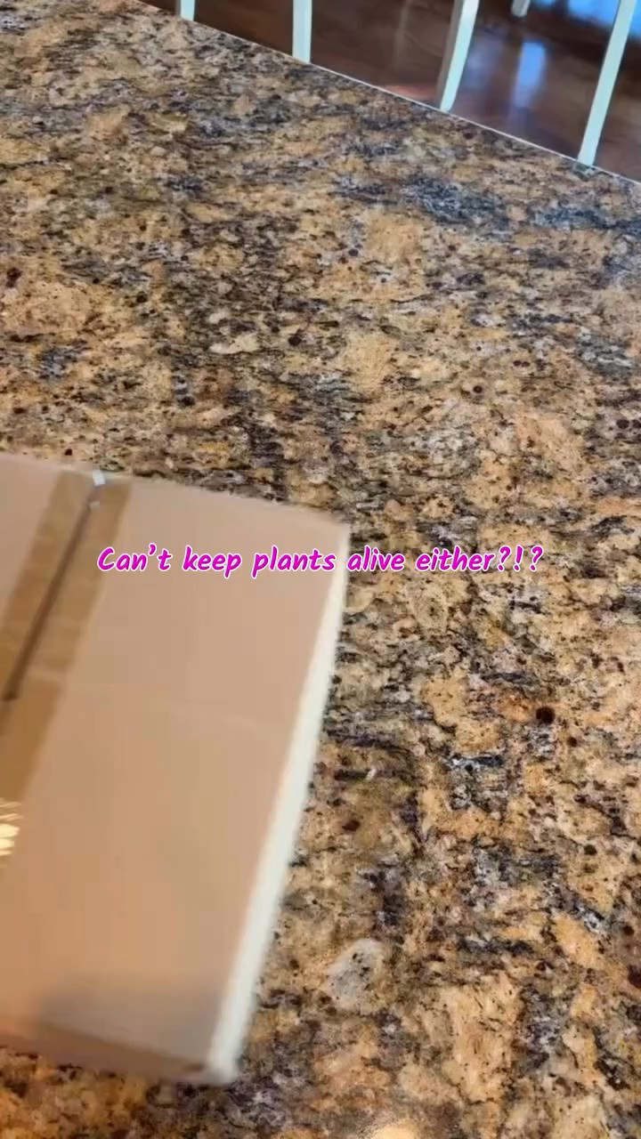 I cannot keep plants alive but luckily @amazon has some incredible fake plants that are super easy to set up!  Comment FLOWERS and I will send you a link! So many options, cheaper than the real things and I can use them year after year!! 🙌🏼
#diy #lifehack #plants #reallife #momlife

#LTKdayinmylife #LTKMothersDay #LTKHome