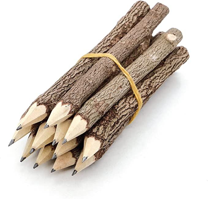 BSIRI Pencil Wood Favors of Graphite Wooden Tree Rustic Twig Pencils Unique Birch of 12 Camping L... | Amazon (US)