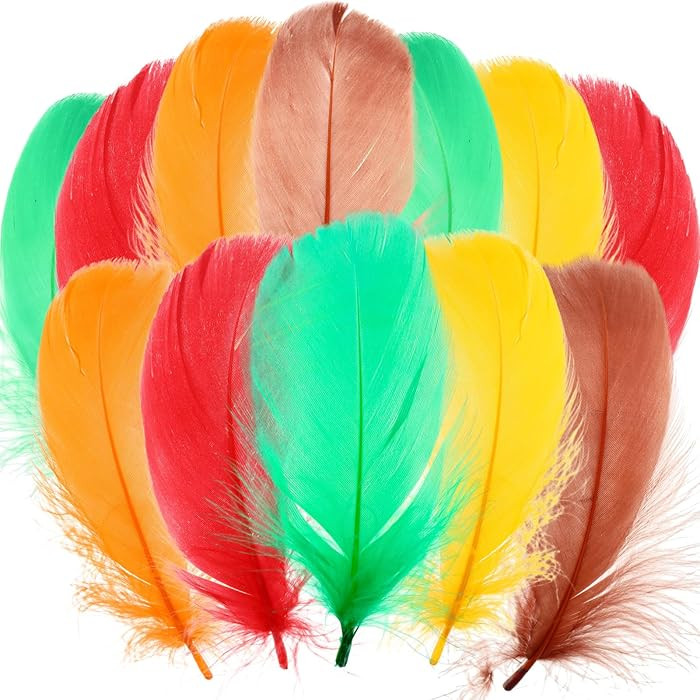 Maysing 500 Pcs Thanksgiving Colorful Craft Turkey Feathers 2-5 Inch Colored Feathers for Fall Th... | Amazon (US)