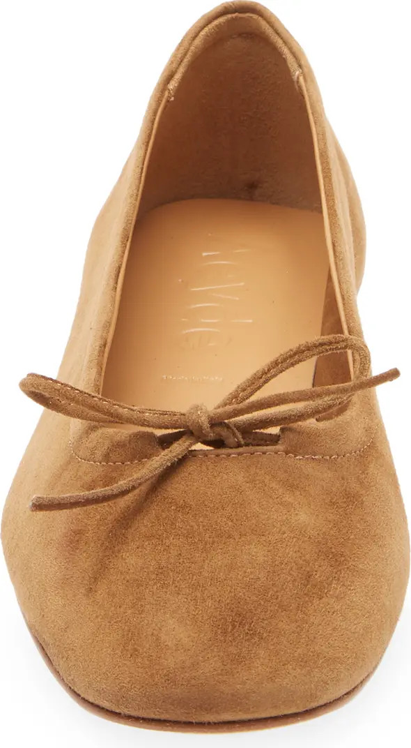 Delfina Ballet Flat (Women) | Nordstrom