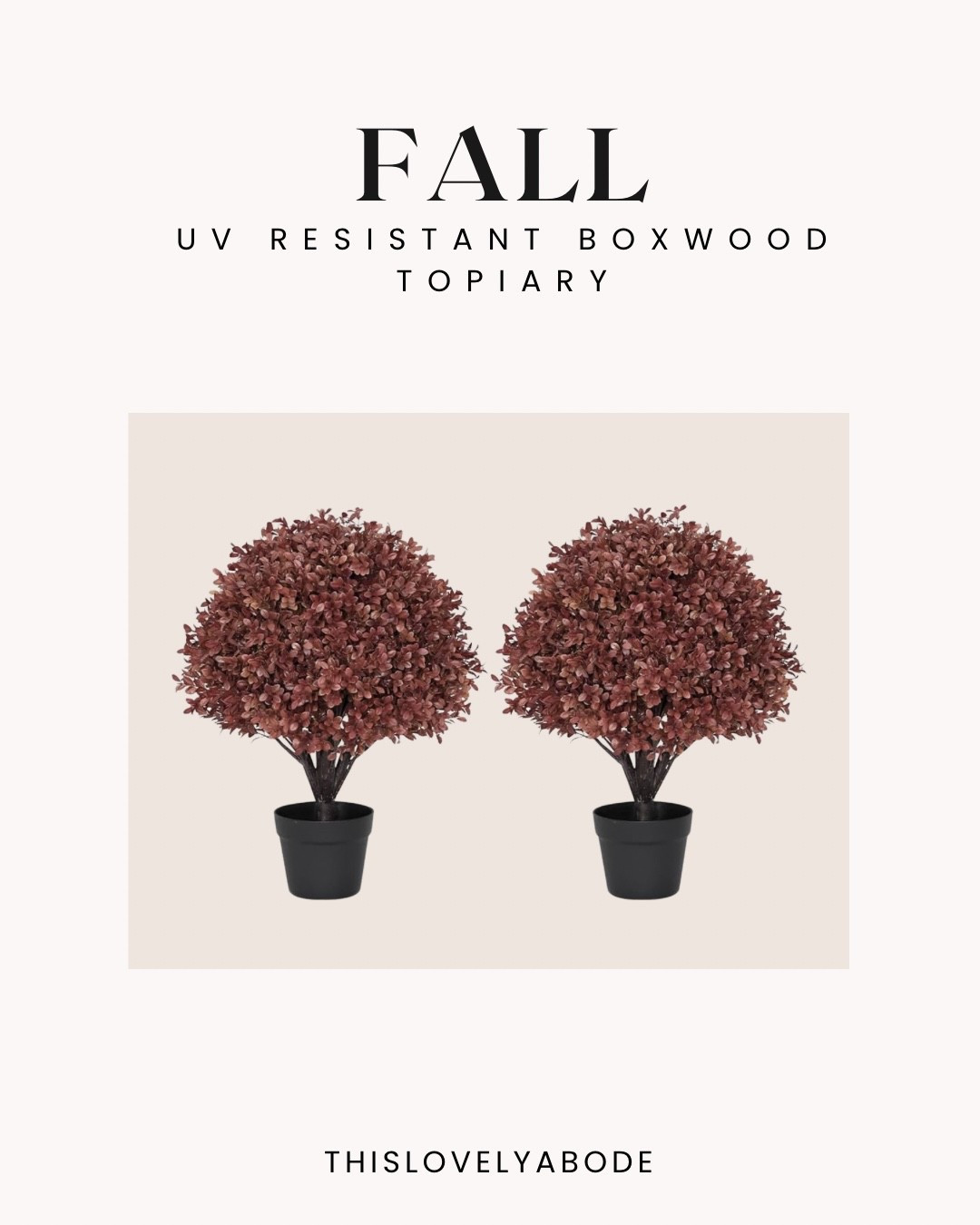 These gorgeous faux boxwood topiaries are beautiful for a fall front porch! They come in various color options. 
#falldecor #fallporch #fallplants #wayfair #amazon

#LTKHome #LTKSaleAlert #LTKSeasonal
