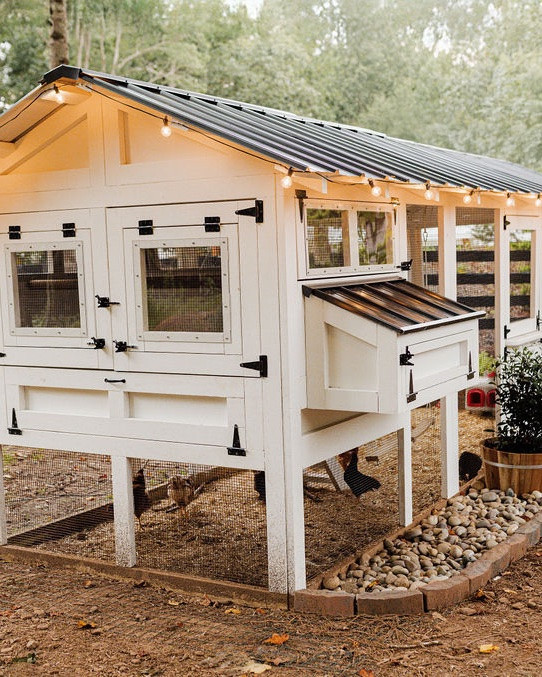 🐓 Not your average backyard moment… We blended farmhouse charm with Modern Classic details to create a backyard lifestyle that feels warm, timeless, and unique. From cozy textures to thoughtful touches, it’s all about designing a home that tells your story ✨

#porcheandco #modernclassic #backyardstyle #farmhousevibes #homedecorinspo #modernfarmhouse #outdoorstyle #interiordesign #onlinedesign #virtualdesign

Do you want to bring our dreamy Modern Classic style interior design into your own home? 🏡 You’re in luck! Reserve our Online Interior Design packages today -> https://porcheandco.com/edesign ✨ We can’t wait to work with you & design your home with #porcheandco

#LTKHome #LTKvlog #LTKdayinmylife