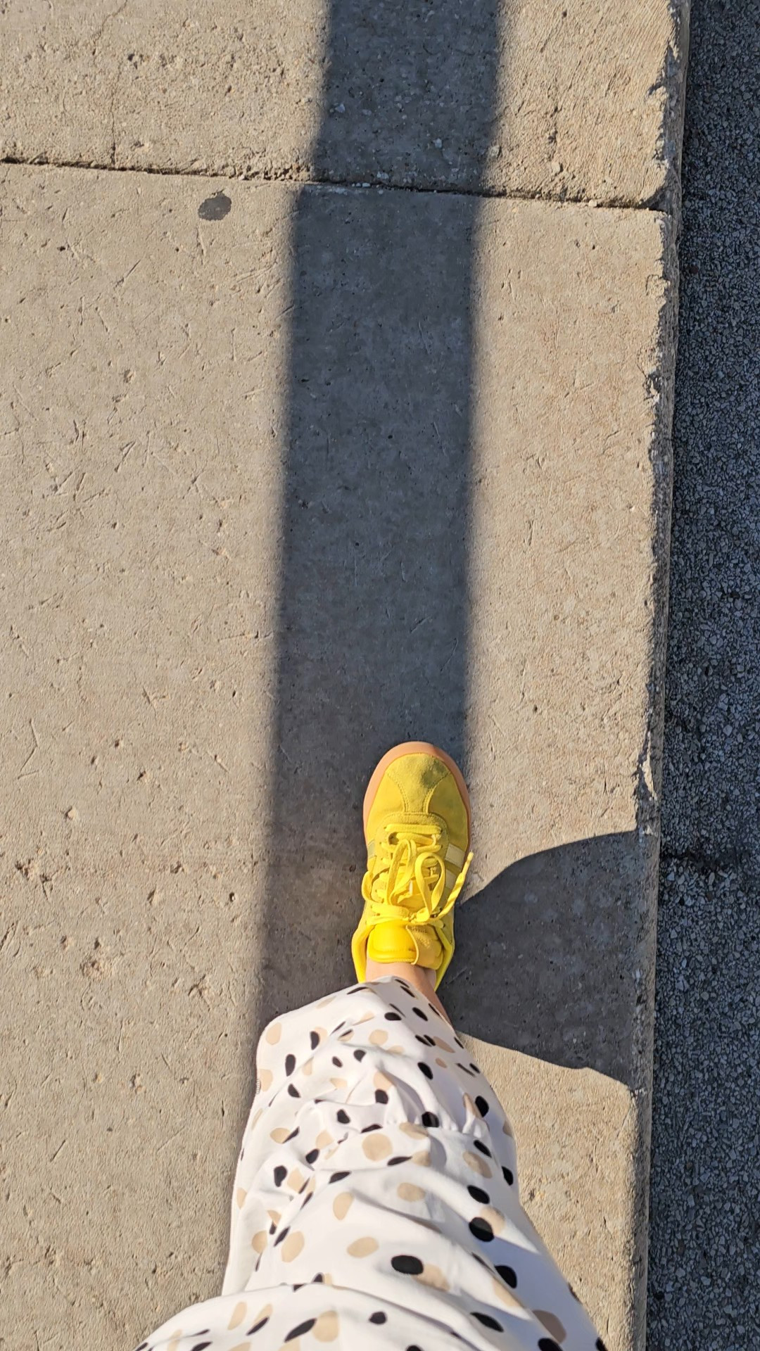These are the shoes that made a cyclist stop his bike and tell me he loved my shoes. Gotta love the Adidas community. 🤣

#LTKShoeCrush #LTKActive #LTKFindsUnder100