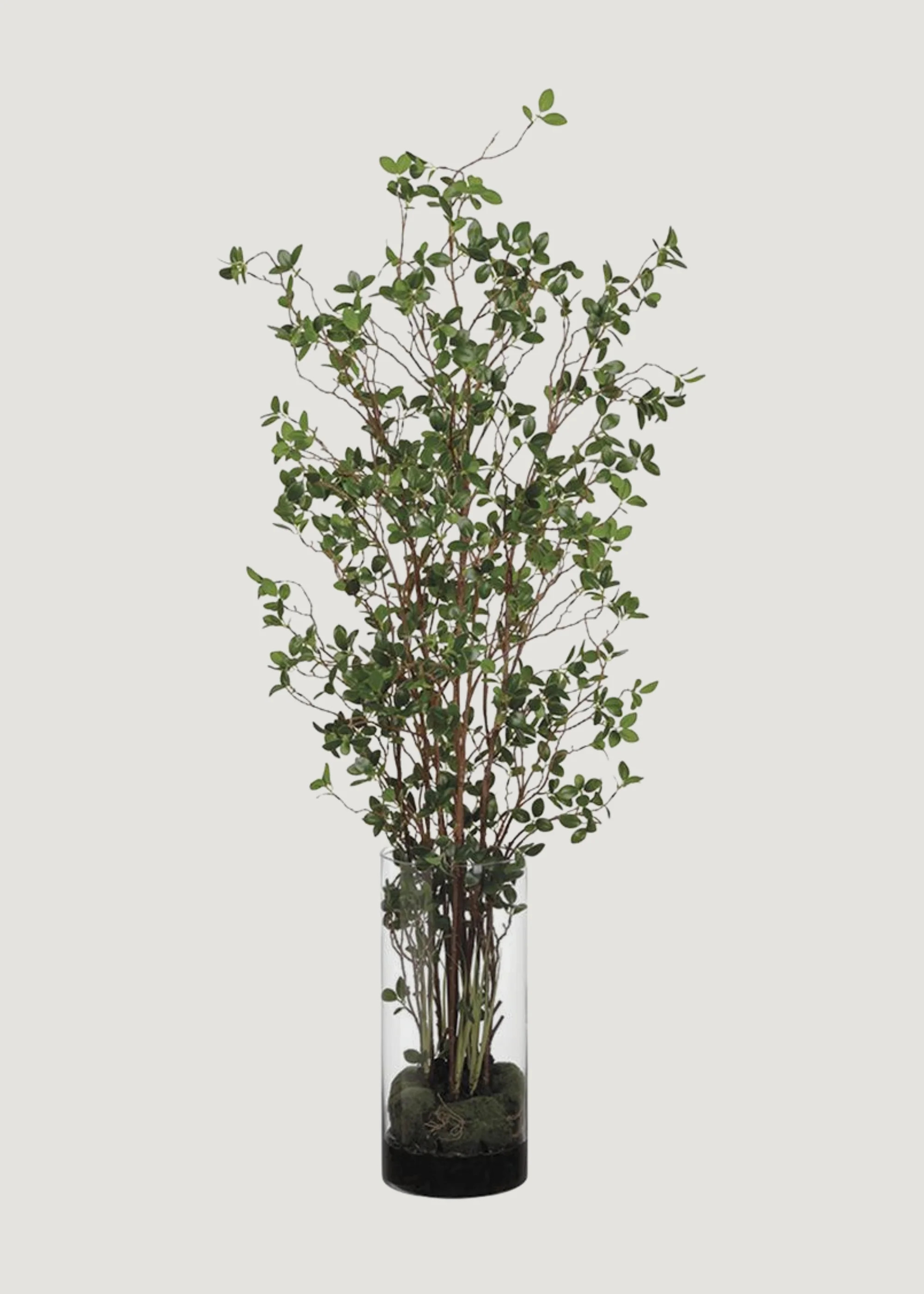 Artificial Branches in Glass Cylinder Vase | Faux Trees at Afloral | Afloral