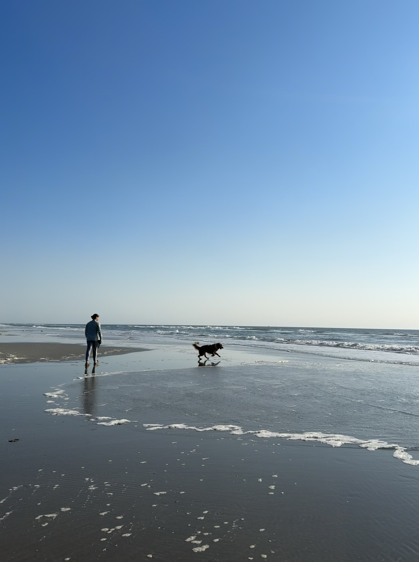 Asher’s first time on the beach! #dogmom #doglife #beach

#LTKFamily #LTKVideo
