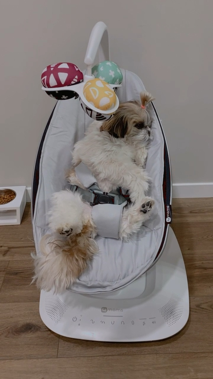 Multi motion smart swing

#LTKfit #LTKFind #LTKkids